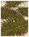 Batik Frond I