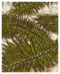 Batik Frond I