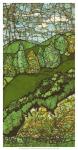 Green Landscape II