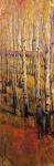 Vivid Birch Forest I