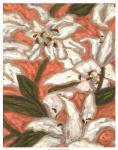 Lily Menagerie I