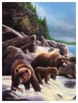 Grizzlies by Falls