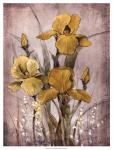 Golden Irises II