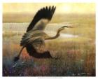 Foggy Heron I