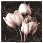 Tulip & Swirls I