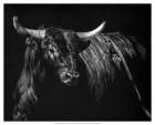 Brindle Rodeo Bull