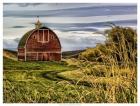 Palouse Barn