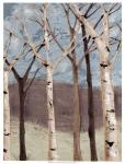 Blue Birches I