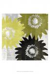 Bloomer Squares I