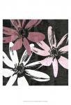 Bloomer Squares VIII