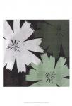 Bloomer Squares XVIII