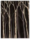 Midnight Birches I