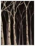 Midnight Birches II