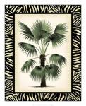 Palm in Zebra Border II