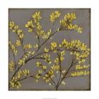 Forsythia I