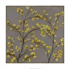 Forsythia II