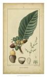 Vintage Turpin Botanical IV