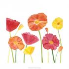 Simply Poppies II