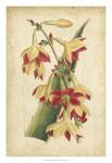 Curtis Tropical Blooms III