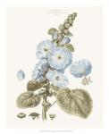 Bashful Blue Florals IV