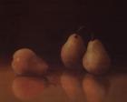 Pear Still Life