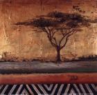 African Dream II