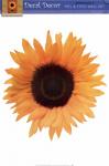 Single Sunflower