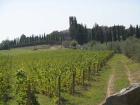 Tuscany 1