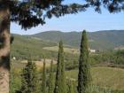 My Tuscany