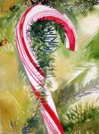 Candy Cane