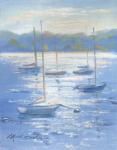 Sunlight Sailboats