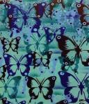 Butterfly Patterns