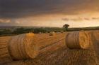 Bales of Hay