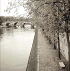 Promenade Seine II