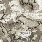 La Mappa II