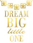 Dream Big Little One