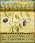 Olive Grove Puglia