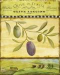 Olive Grove Tuscana