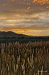 Sunset Over Bear Tooth