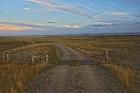 Knowing Which Cattle Guard To Cross