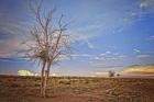 Wyoming High Desert Beauty