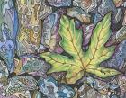 Fall's Infancy