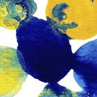 Yellow and Blue Abstract Flowing Paint
