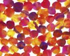 Warm Colors Abstract Flowing Paint Pattern 1