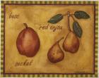 Pears Bosc Red Anjou Seckel
