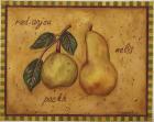 Pears Red Anjou Nelis Packh