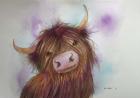 Heeland Coo