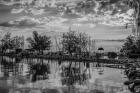 Clouds Floating on Water