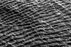 Ocean Ripples 01