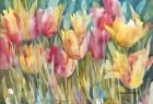 Pastel Tulips